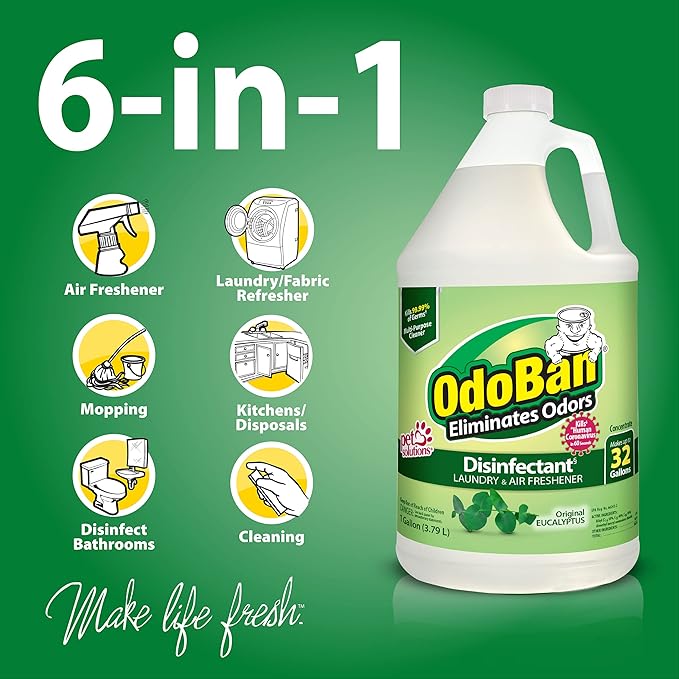 OdoBan Disinfectant Concentrate and Odor Eliminator, Made in the USA, Original Eucalyptus Scent, 2 Gallons