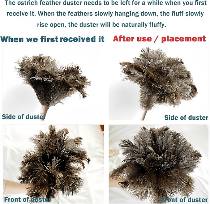 Feather Duster, Feather Dusters for Cleaning Ddzmz Fluffy Natural Genuine Ostrich Feathers with Wooden Handle Reusable Handheld Ostrich Feather Duster Cleaning Supplies, Gray and Brown(Length 16")