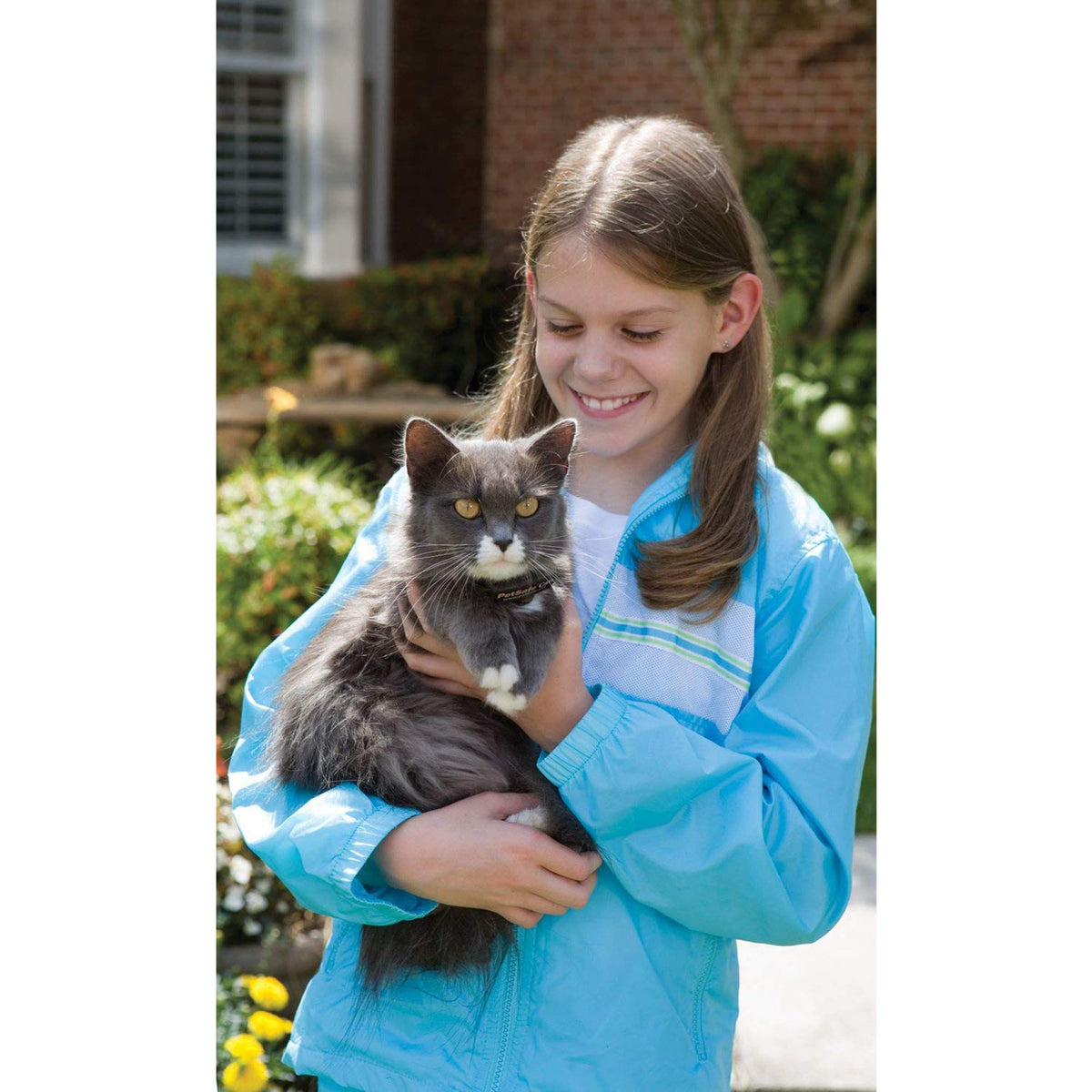 PetSafe In-Ground Cat Fence Receiver Collar, Waterproof, Tone and Static Correction, Stretch-Section for Safety, for Cats Over 6 lb - from The Parent Company of Invisible Fence Brand