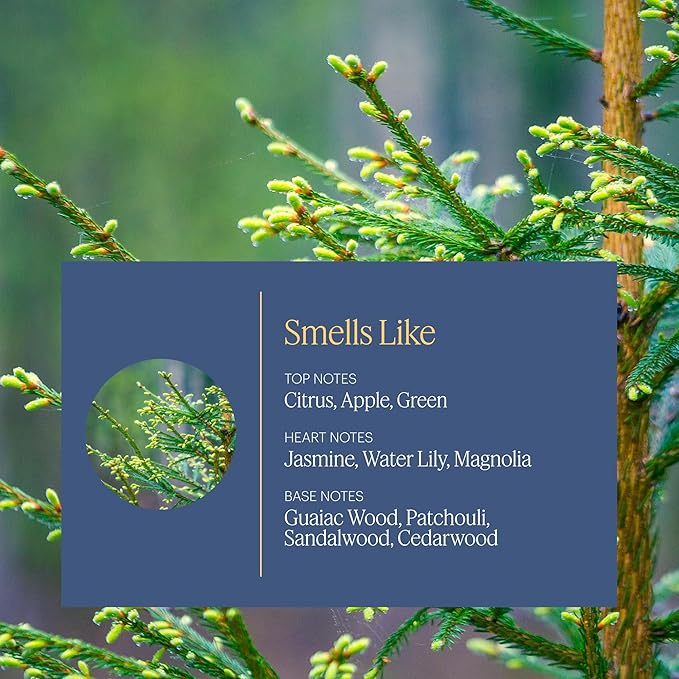 Aera Indigo - Essential Oil for Home - Crisp Apple and Cedarwood Fragrance - Notes of Citrus, Jasmine and Sandalwood- Scent Refill - Works with The Aera Diffuser