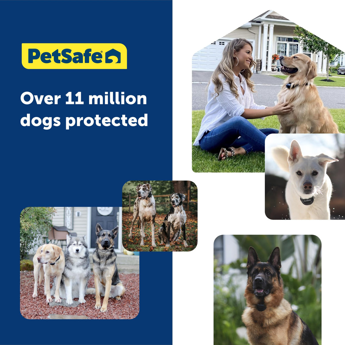 PetSafe Guardian GPS + Tracking Dog Fence Collar Pet Safe GPS Dog Collar Fence System, with App Waterproof Rechargeable Collar, Tracking for Dogs (Blue, Grey)
