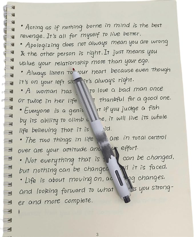 Fengtaiyuan GRB05P18 Silent Press Neutral Pen - Black Ink, 0.5mm Bullet Head, Smooth Writing, 18 Count (Black05P18)