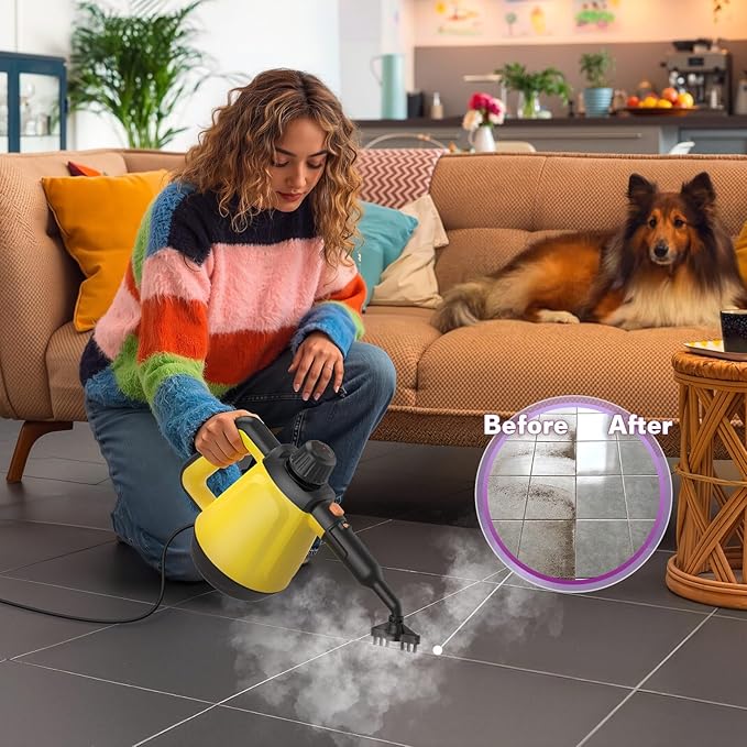 Steam Cleaner, Deep Cleaning Steam Cleaner for Home, 1200W Handheld Steam Cleaner with 10 Tools, Natural Steamer for Cleaning, Handheld Steamer for Bathrooms, Kitchens, Windows, Shower, Grout,Tile,Car