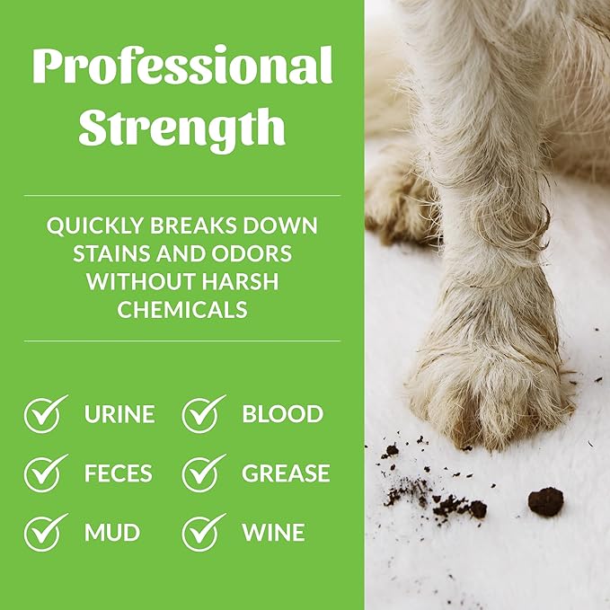 SKOUT'S HONOR Pet Stain and Odor Remover - Powerful Cleaner for Dog Urine, sweat, and other messes, Destroys and Removes Odor and Stain Molecules, Eco-Friendly Formula for Carpets and Home, 35oz