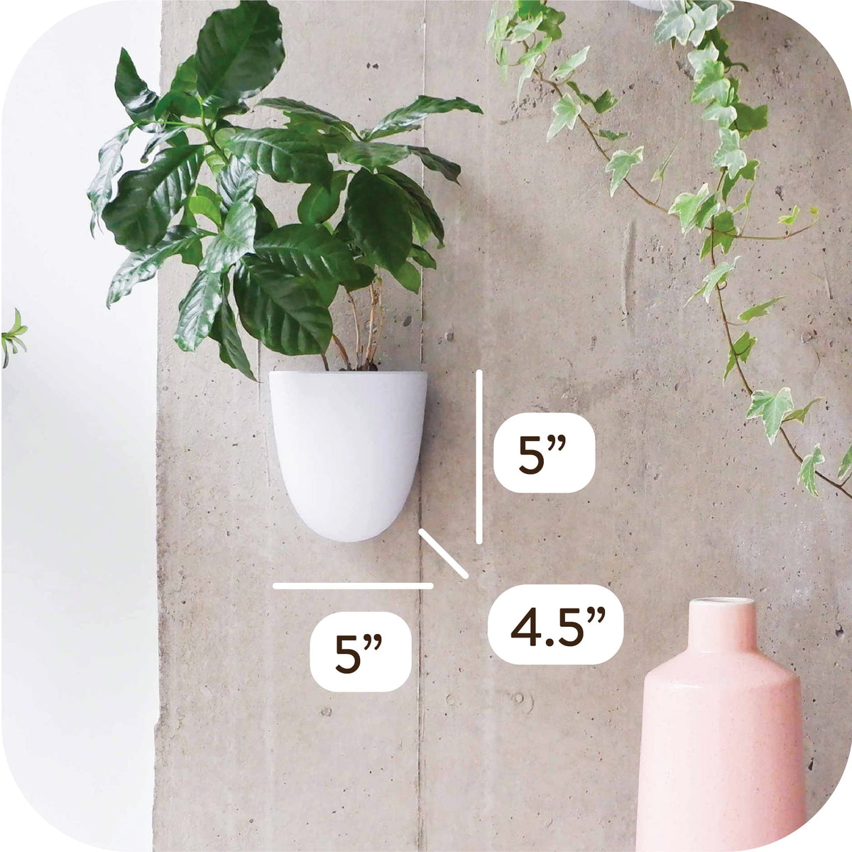 PlantPod Luxe Self-Watering Wall Planters (Set of 3) - Easy to Water and Install - Lightweight - Design Your Own Vertical Garden - Wall Planters for Indoor Plants