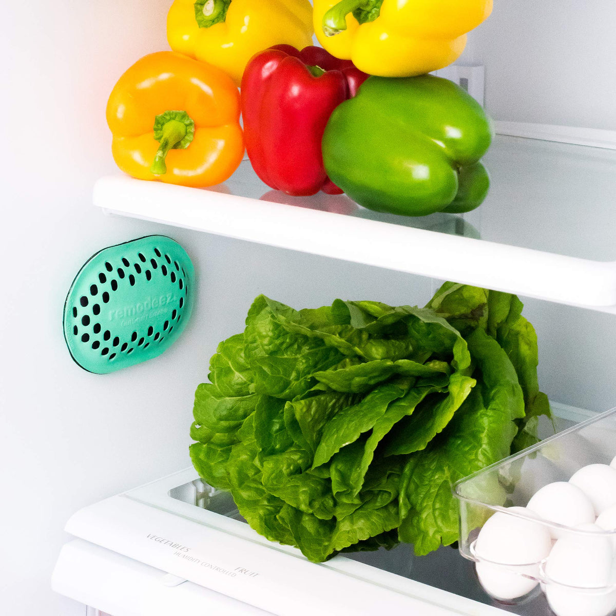 remodeez Refrigerator Deodorizer and Odor Eliminator, Activated Charcoal Bags, Charcoal Air Purifiers, Odor & Moisture Absorber