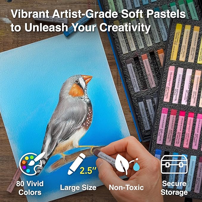 COLOUR BLOCK 80pc Soft Pastels for Artists I Color Chalk Pastels Set, Coloring Charcoal Sticks, Drawing Art Supplies for Adults, Beginners, Kids