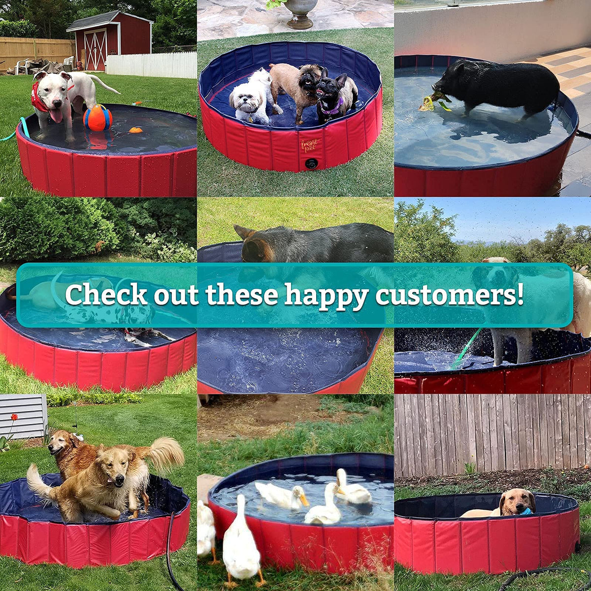 Frontpet XL Foldable Dog Pool - 60" Width Swimming Pools for Large Dogs, Kiddie Pool & Dog Bath Tub, Non-Slip Scratch Resistant Hard Plastic Shell Dog Pool, Portable Pet Pool for Dogs, Pets & Kids
