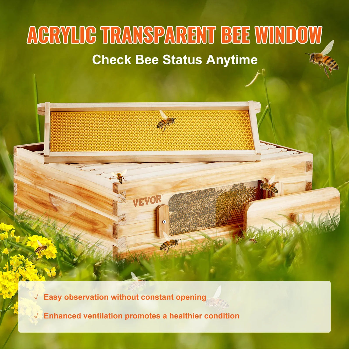Bee Hive Medium Box Starter Kit  100% Beeswax Coated Natural Cedar Wood  Beehive Kit with 10 Frames and Foundations