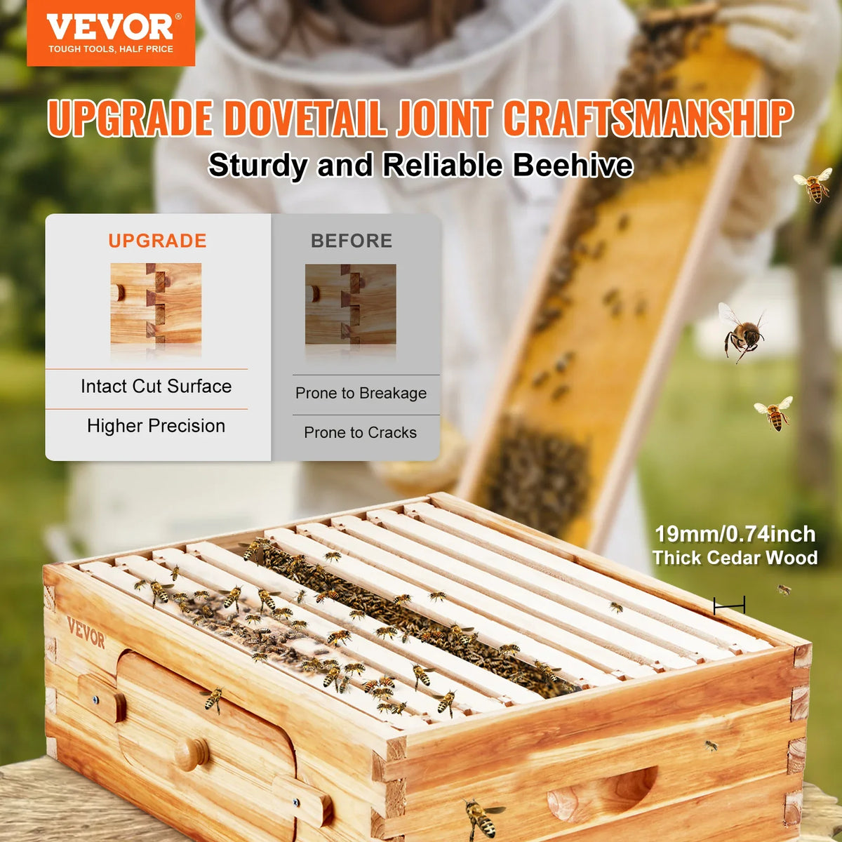 Bee Hive Medium Box Starter Kit  100% Beeswax Coated Natural Cedar Wood  Beehive Kit with 10 Frames and Foundations