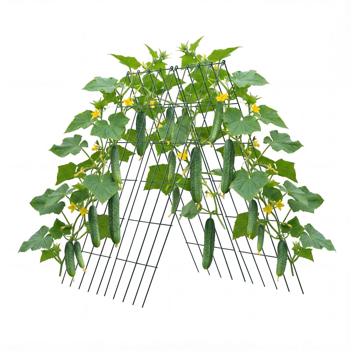 Cucumber Trellis 4 Pack, A-Frame Garden Trellises for Raised Bed, Metal Rustproof Coating Plant Support for Vine, Climbing Plants, Peas, Beans, Zucchini, Tomato, Flower (38.98 x 15.75 in x 4PCS)