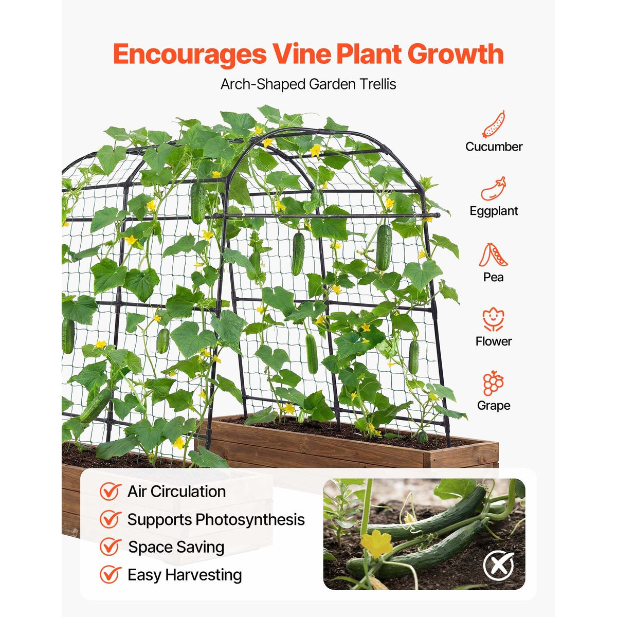 Cucumber Trellis, U-Shape Garden Trellises for Raised Bed, Metal Arch Plant Support for Vine, Climbing Plants Outdoor, Peas, Beans, Zucchini, Tomato, Squash, Flower (70.87 x 44.09 x 82.99 in)