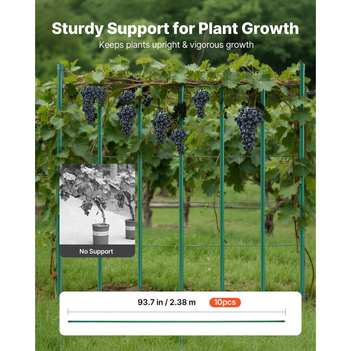 Garden Stakes, 10 Pack, 93.7 inch, Plastic Coated Metal Tomato Stakes, Garden Sticks for Plants Support, with Pointed End and Non-Slip Bumps for Growing Climbing Plants, Outdoor Vegetables