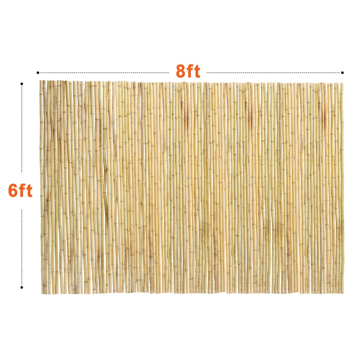Natural Rolled Bamboo Fence, Eco-Friendly Bamboo Privacy Fence 6 ft H x 8 ft L x 0.75 in D. , Decorative Bamboo Privacy Screen for Garden, Backyard, Balcony, Patio, Pool Side