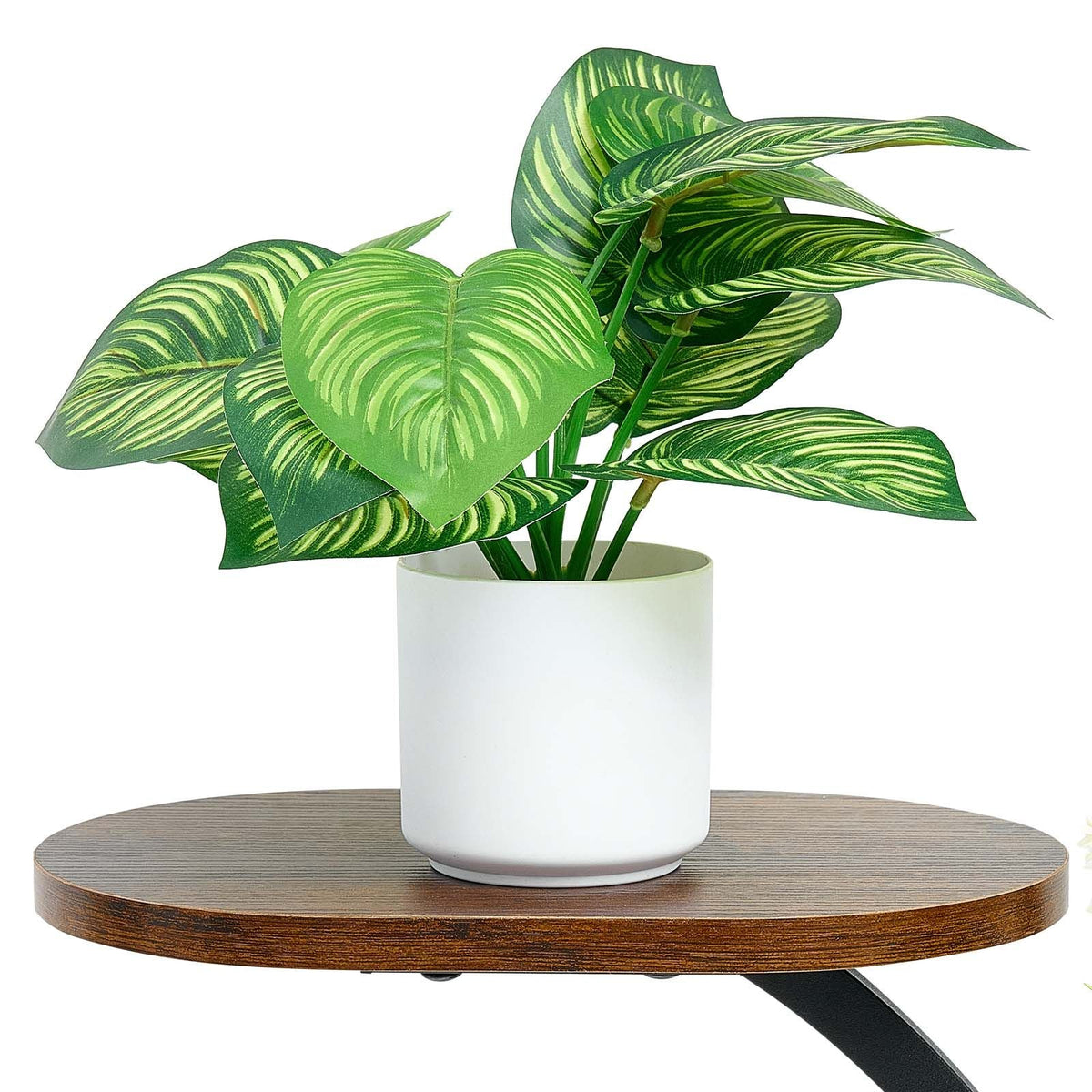 Plant Stand Indoor with Grow Lights, 62 in Tall 8-Tier Lighted Plant Shelf, Metal Corner Plants Holder, 3 Timer & 10 Brightness, Tree-Shaped Flower Display Rack for Living Room Balcony Decor