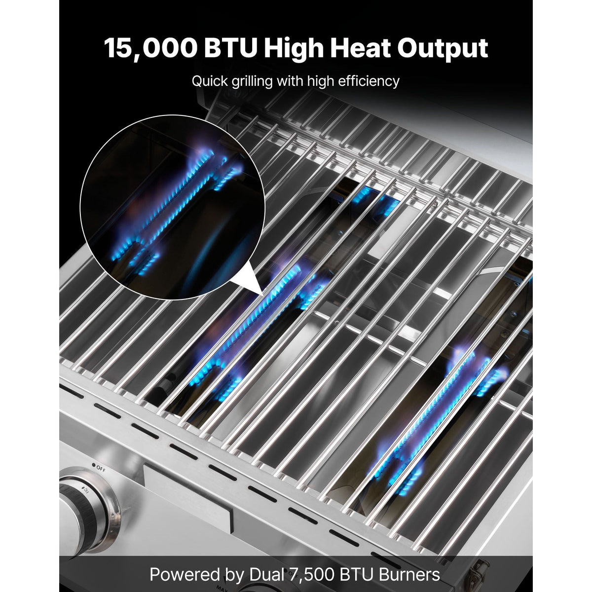 Tabletop Gas Grill, 2-Burner Stainless Steel Portable Propane Grill, with Built-in Thermometer, Travel Locks, Weatherproof Lid, 15,000 BTU Total, for Outdoor Cooking, Patio, Party, Camping, RV