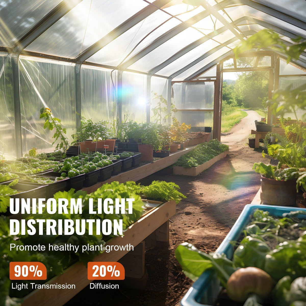 Greenhouse Plastic Sheeting 12 x 50 ft, 6 Mil Thickness Clear Greenhouse Film, Polyethylene Film 4 Year UV Resistant, for Gardening, Farming, Agriculture, Garden